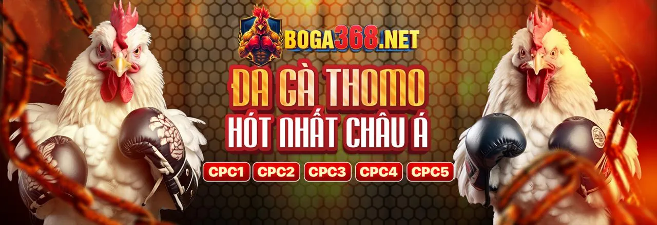 Hình ảnh người chơi đang giữ vững tâm lý bình tĩnh khi cá cược, biểu tượng của sự kiểm soát cảm xúc