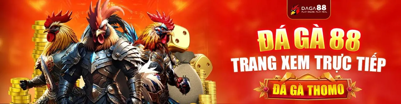 Đá Gà Trực Tuyến Hấp Dẫn tại 8ki